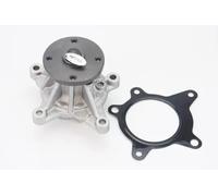 Pompa acqua meccanico WPS3139 CONTINENTAL CTAM per HYUNDAI KIA