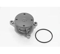 CONTITECH WPS3147 Pompa acqua
