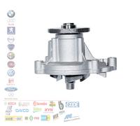 DAYCO DP534 Pompa acqua