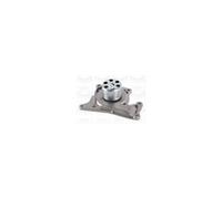 Pompa Acqua Motore VALEO Per Nissan Juke Cube Infiniti Q30 21010-00Q0M