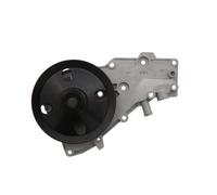 Pompa Acqua Motore VALEO Per Renault 5 9 11 19 I II 21 Clio Rapid Super
