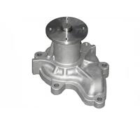 DOLZ N108 Pompa acqua