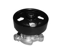 DOLZ N152 Pompa acqua