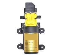 Pompa Acqua Nebulizzata Elettrica Agricola 12V Piccola A Spruzzo Ad Alta Pressione A Membrana Autoadescante For Pesticidi Funzionamento Fluido Portata Costante Affidabile(Auto-8L)