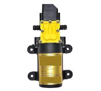 Pompa Acqua Nebulizzata Elettrica Agricola 12V Piccola A Spruzzo Ad Alta Pressione A Membrana Autoadescante For Pesticidi Funzionamento Fluido Portata Costante Affidabile(Auto-6L)