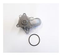 Pompa Acqua Nps H151i20