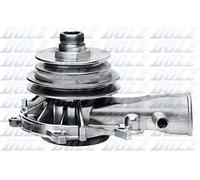 DOLZ O113 Pompa acqua