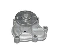 DOLZ Pompa acqua