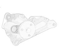 Pompa acqua OE RENAULT 21 01 006 38R per RENAULT DUSTER (HM_) 1.3 2021-2024
