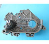 Pompa Acqua OEM 18 Fori Per Great Wall Steed H5 4D20 1307100-ED01 GW91302 sivar