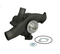 Pompa acqua OMP 196.347 per ASTRA HD 7 17.173 1996-2005
