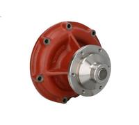 Pompa acqua OMP 321.100