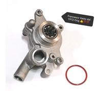 Pompa Acqua ORIG LINHAI ATV QUAD DEMON Muddy Goon 260 300AXY Uaooo Kaboon