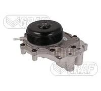 GRAF PA1219 Pompa acqua