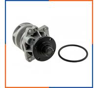 Pompa acqua per BMW | PE7002, 17010432, PHV001, 10200113, WP7037, KCP1499
