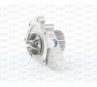 POMPA ACQUA per LANCIA PHEDRA PEUGEOT 206 307 308 406 407 607 806 807 EXPERT