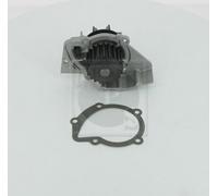 Pompa acqua PER Peugeot Expert 2.0 HDi 69 KW 94 CV
