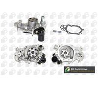 Pompa Acqua Pompa Refrigerante Adatta Per Renault Clio II 1.2 Twingo