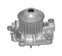DOLZ R301 Pompa acqua