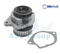 Pompa Acqua Refrigerante Motore Meyle 113 012 0041