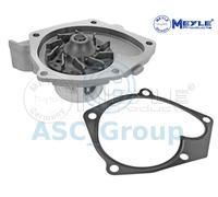 Pompa Acqua Refrigerante Motore Meyle 16-13 220 0026
