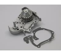 Pompa Acqua Renault Megane 96 Clio 98 Logan 04 Thalia 00 Scenic 1997-1999