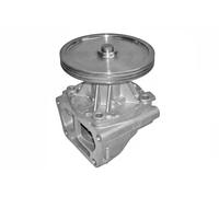 DOLZ S121 Pompa acqua