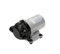 Pompa 'acqua senza spazzole DP-150 Pompa a membrana ad alta pressione DC(DP-150 24v)