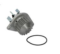 Pompa acqua SIL PA1234 per CITROEN C2 (JM_) 1.1 2003-2012
