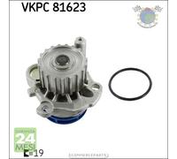 Pompa acqua SKF per AUDI A3 SEAT TOLEDO II IBIZA CORDOBA LEON INCA SKODA OCTAVI