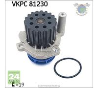 Pompa acqua SKF per AUDI TT Q5 A6 A5 A4 A3 DODGE JOURNEY CALIBER AVENGER FORD G