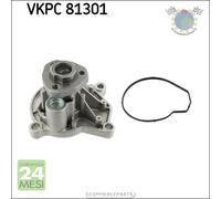 Pompa acqua SKF per SEAT TOLEDO IV IBIZA III CORDOBA SKODA ROOMSTER RAPID FABIA