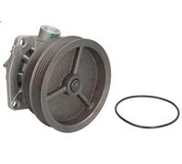 Pompa acqua SKF VKPC 82441 per FIAT BRAVA (182_) 1.6 1995-2001