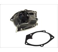 Pompa acqua SKF VKPC 86008 per RENAULT LAGUNA II (BG0/1_) 1.9 2001-2007