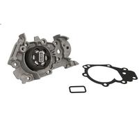 Pompa acqua SKF VKPC 86810 per DACIA SANDERO (BS_) 1.2 2008-2013