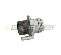 Pompa Acqua Skoda Fabia I (6y2) Wp0178 045121011g Bremsi