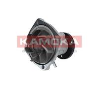 Pompa acqua T0011 KAMOKA per ROVER CHRYSLER JEEP FORD OPEL ALFA ROMEO