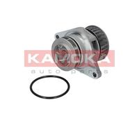 Pompa acqua T0026 KAMOKA per VW RENAULT DODGE FORD SEAT AUDI TOYOTA