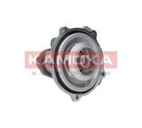 KAMOKA T0038 Pompa dell’acqua, raffreddamento motore per ALPINA,AUDI,CITROËN,NIS