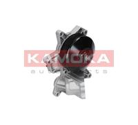 Pompa acqua T0048 KAMOKA per BMW OPEL DODGE