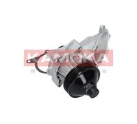 KAMOKA Pompa Acqua T0063 BMW,OPEL,LAND ROVER,3 Sedan (E46),3 Touring (E46),X5 (E53),5 Sedan (E39),5 Touring (E39),7 (E38),Omega B Caravan (V94)