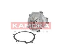 Pompa acqua T0100 KAMOKA per PEUGEOT CITROËN HONDA NISSAN VOLVO LADA