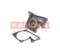 Pompa acqua T0101 KAMOKA per RENAULT DACIA NISSAN OPEL MERCEDES-BENZ BMW CITROËN