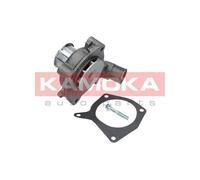 Pompa acqua T0131 KAMOKA per FORD AUDI ISUZU FIAT SKODA HYUNDAI BMW MAZDA