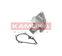 Pompa acqua T0156 KAMOKA per HYUNDAI KIA SKODA DAEWOO FORD BMW VW OPEL JEEP