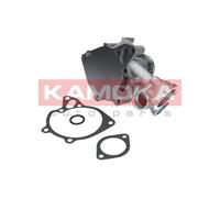 Pompa acqua T0162 KAMOKA per PEUGEOT MITSUBISHI TALBOT HYUNDAI IVECO VW RENAULT