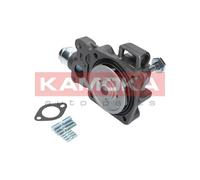 Pompa acqua T0166 KAMOKA per VW RENAULT TRUCKS IVECO RENAULT SKODA TOYOTA FIAT