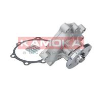 Pompa acqua T0169 KAMOKA per KIA BMW