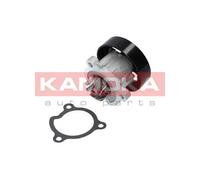 Pompa acqua T0221 KAMOKA per NISSAN AUDI RENAULT MAZDA