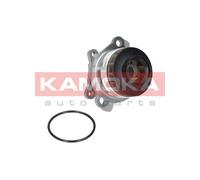 Pompa acqua T0222 KAMOKA per NISSAN RENAULT BUICK OPEL CITROËN FORD LADA VW